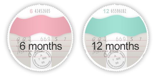 Paper road tax discs are abolished